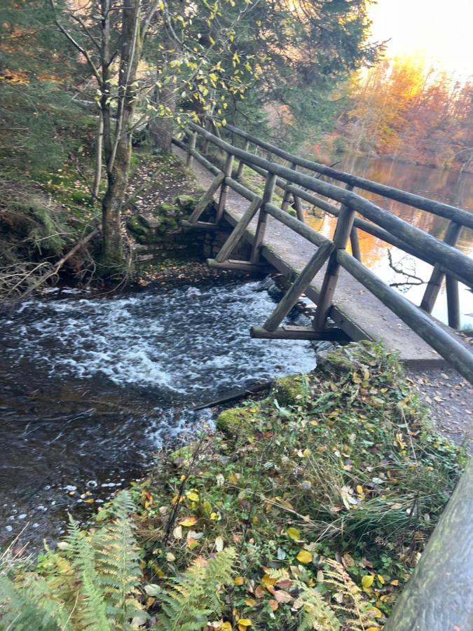 Moderne Und Zentral Gelegene Ferienwohnung In Braunlage Mit Rodelpiste Und Start Ski Langlauf In 300 Metern Entfernung Екстер'єр фото