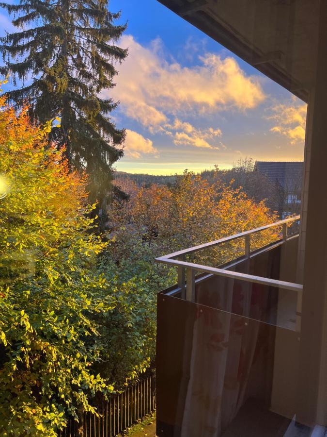 Moderne Und Zentral Gelegene Ferienwohnung In Braunlage Mit Rodelpiste Und Start Ski Langlauf In 300 Metern Entfernung Екстер'єр фото