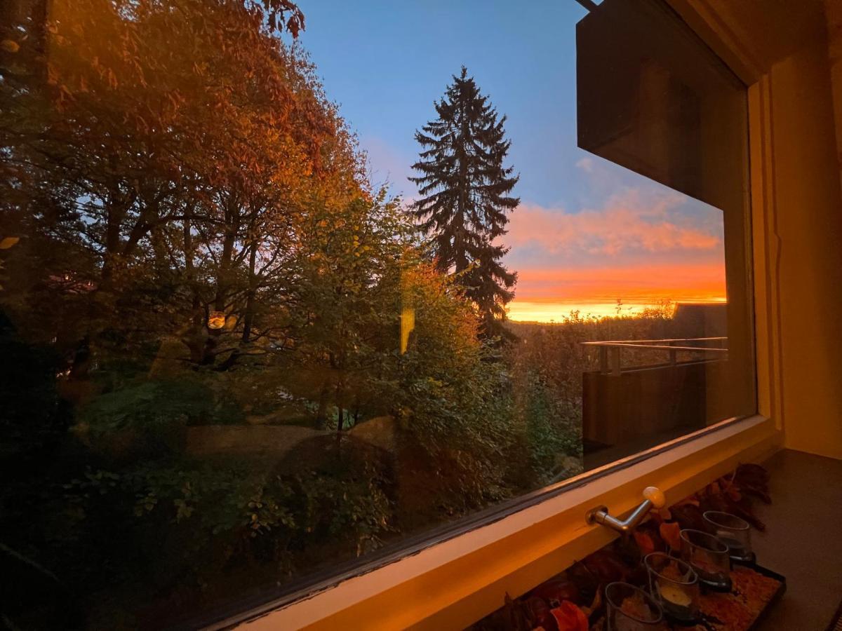 Moderne Und Zentral Gelegene Ferienwohnung In Braunlage Mit Rodelpiste Und Start Ski Langlauf In 300 Metern Entfernung Екстер'єр фото